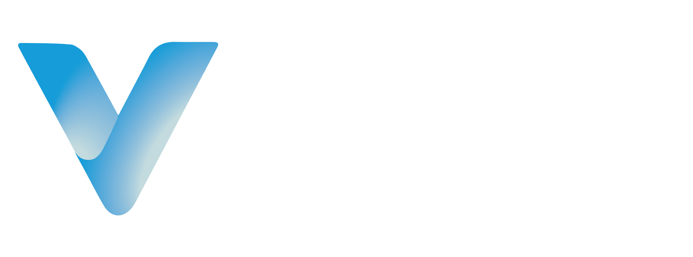 Vinfo